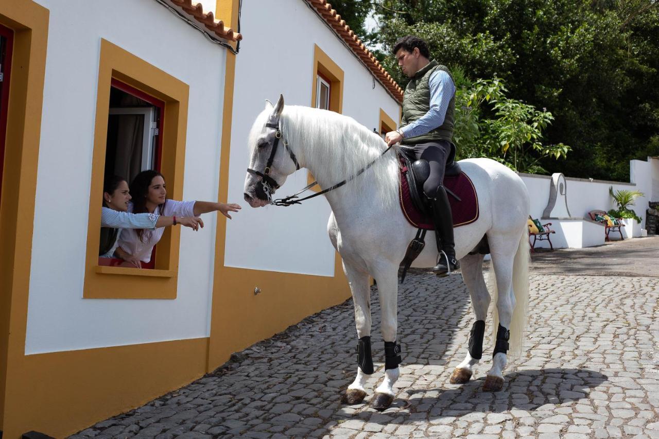 Vila Quinta Do Malhinha- Turismo Angra do Heroísmo Exteriér fotografie